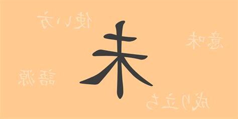 未 meaning